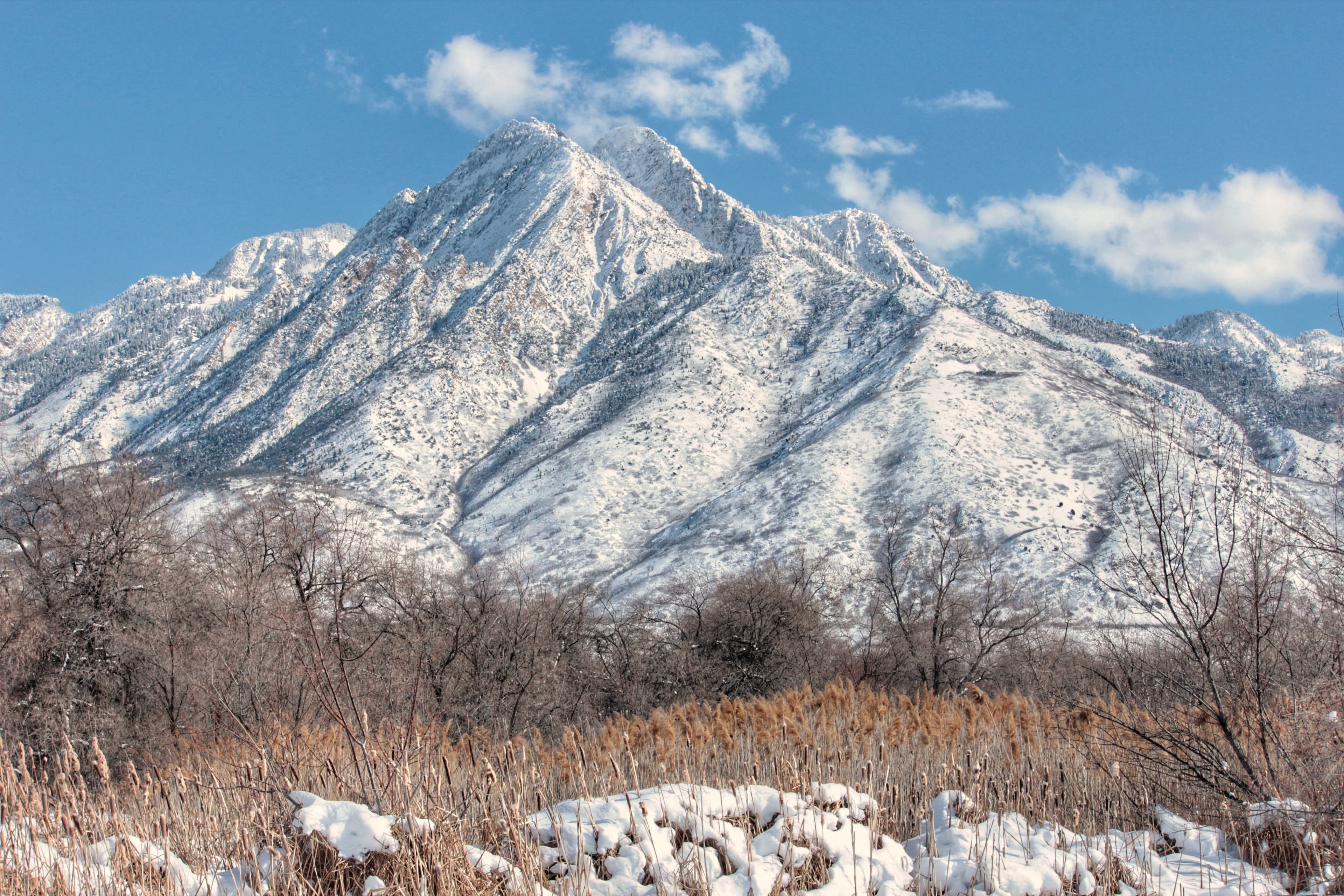Wasatch Mountain landscape for wildlife and nature outings